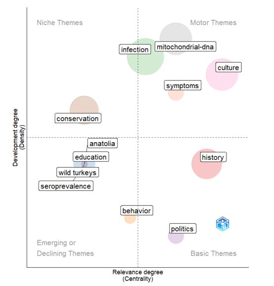 Graphical Abstract