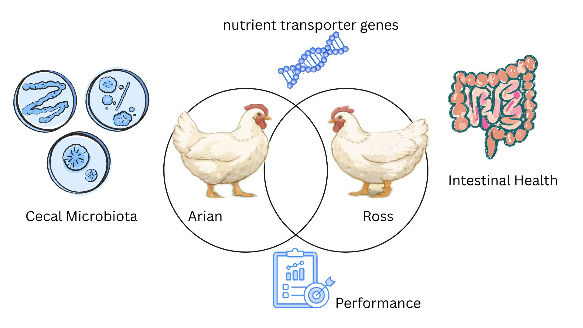 Graphical Abstract
