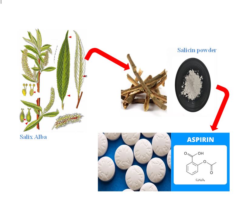 Graphical Abstract