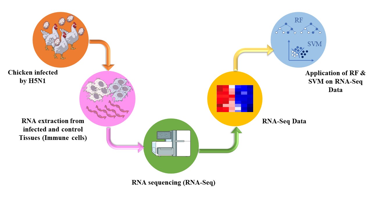 Graphical Abstract